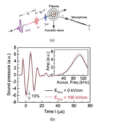 "Hearing" terahertz electromagnetic radiation