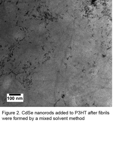 Figure 2 CdSe nanorods added to P3HT after fibrils were formed by a mixed solvent method