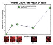 0504249_2011_primordia