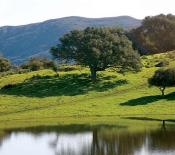 El Chorro Ranch in spring