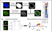 0801620_2011_rutgers_igert_moghe_nugget_r1