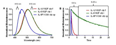 Figure 2. Emission spectra profiles