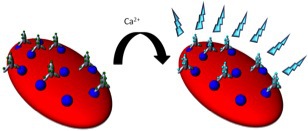 Figure 3. Schematic of the devleoped system for detection o AML cells