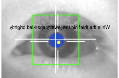 Eye fixation patterns are used to measure language comprehension difficulty
