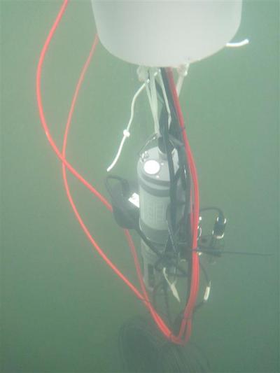 Underwater view of buoy sonde