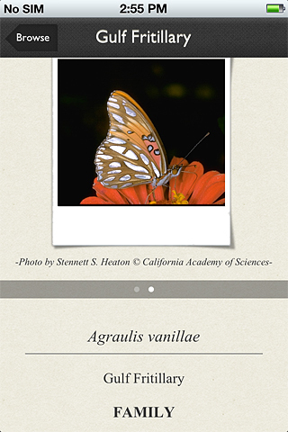 The app includes photos and descriptions of adults and caterpillars of 117 species of butterflies found in the San Francisco Bay Area and Sacramento Valley.