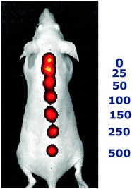 In vivo nanosenors for sodium detection