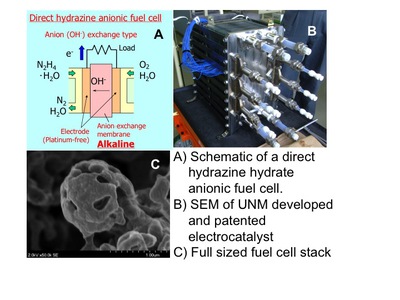 Hydrazine Anionic Fuel Cell