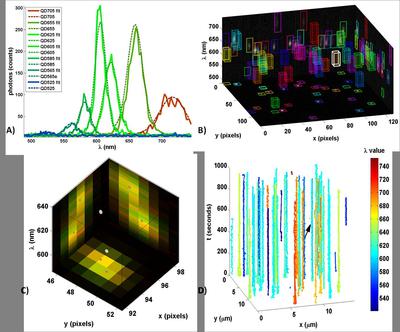 Single-particle tracking of individual quantum dots non-specifically adhered to a glass coverslip