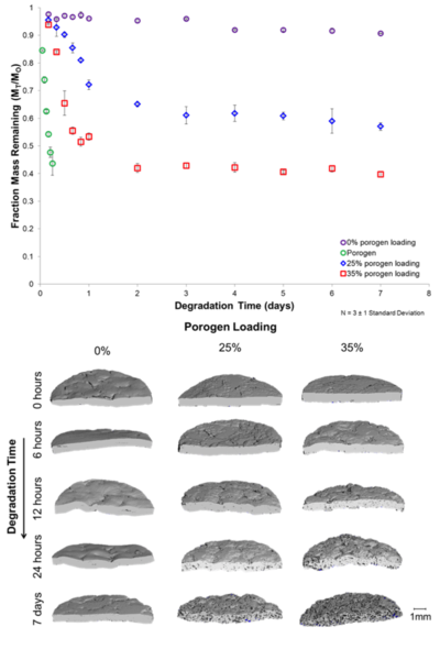 Figure 2: Degradation profiles of the porogen system and composite scaffolds