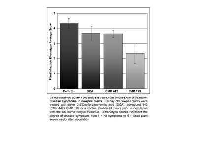 Reduction of Fusarium disease in cowpea.