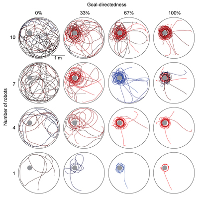 Visualization of the paths of the robots.