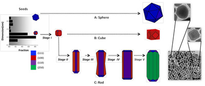 Figure 1. Growth Mechanism of Gold Nanorods.