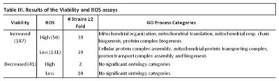 Results of the Viabilty and ROS assays