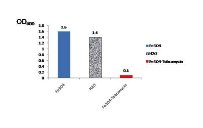 Armijo Figure 4