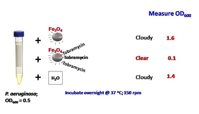 Armijo Figure 3