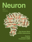 Neuroncover