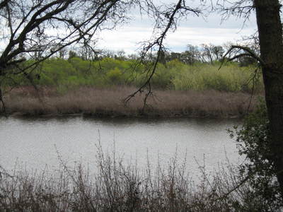 Delta Meadows State Park