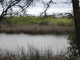 0801430_2009_delta_meadows_sp