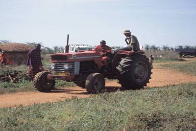 Maasai farmer in the field