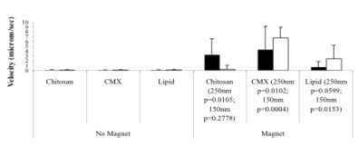 Transport of particles through biofilm