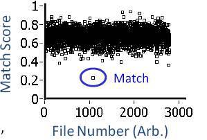 Compilation of match scores for a single experimental data set.