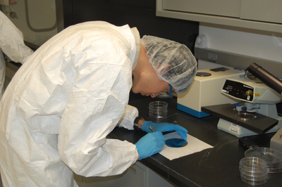 Bootcamp-Trainee Roger Shih making an attempt of breaking the wafer