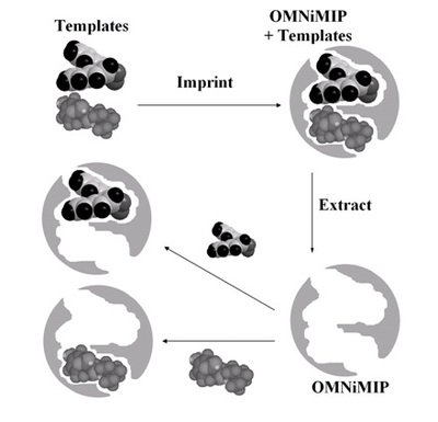 Molecular Imprinting Scheme