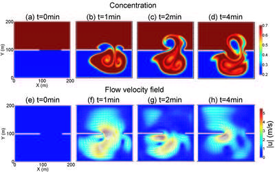 Fig. 2: LBM simulation of passive mass transport coupled to partial dam break problem.