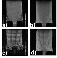 Figure 3. NMR images of bimodal suspensions in contraction-expansion flow.