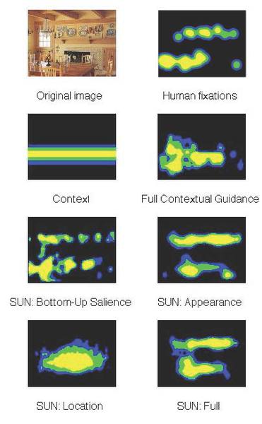 Saliency maps during a search for cups