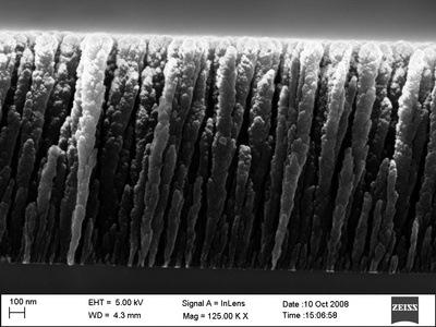 Platinum-coated carbon nanorods for use in fuel cells