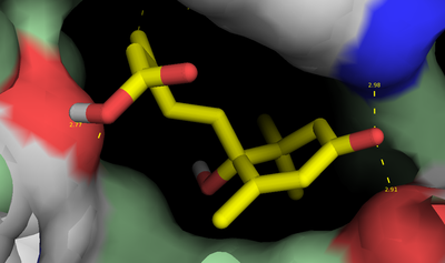 Model of ABA bound to PYR1 receptor protein.