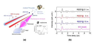 Remote sensing with pulsed THz wave