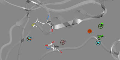 The pharmacophoric elements of the PERK binding site.