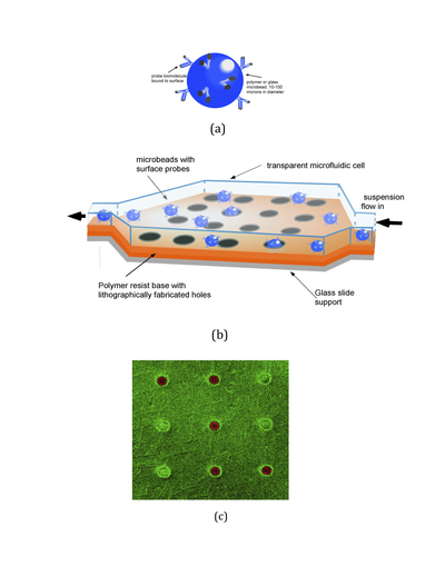 Arraying of Microbeads Using Microfluidic Entrapment