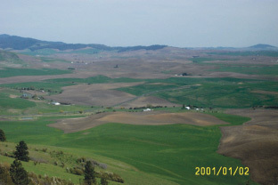 The Palouse is a fragmented ecosystem