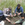 IGERT students conducting work in the Palouse prairie