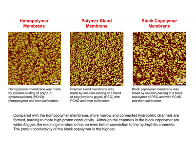 Homopolymer, Polymer Blend, and Block Copolymer Membranes