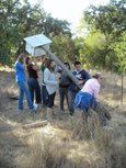 0801430_2010_farms_nestbox