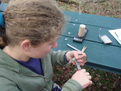 Banding birds used to observe foraging behavior