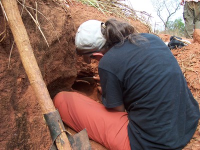 Kristin Safi collecting samples in the field near Poteme village, N'Gotto Forest, CAR