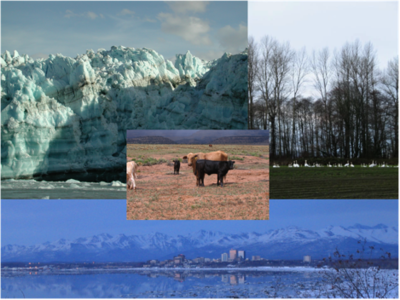 Alaskan collage