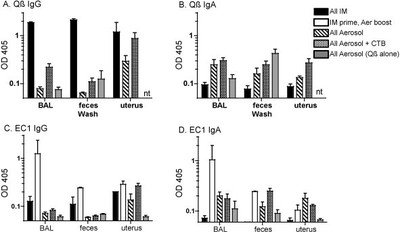 Anti-Qbeta and anti-EC1 titers in mucosal washes of immunized rats.