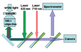 Schematic of experimental setup