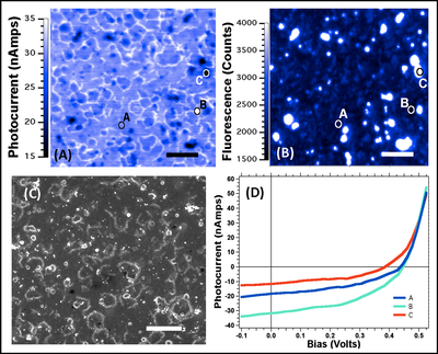 Local performance-related characterization of CIGS nanocrystal-based solar cells using LBIC microscopy