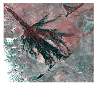 Satellite Image of the Okavango Delta