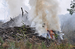 Slash burn